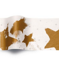 Gold/Silver Celebration Stock Design Tissue Paper (B)